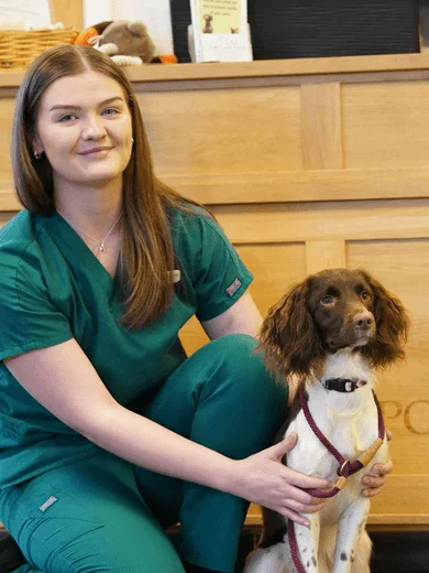 Dog with lady portland vets