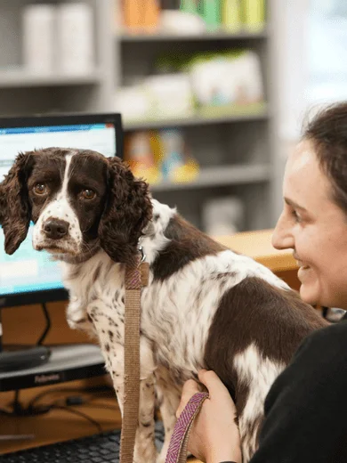 Dog with lady portland vets