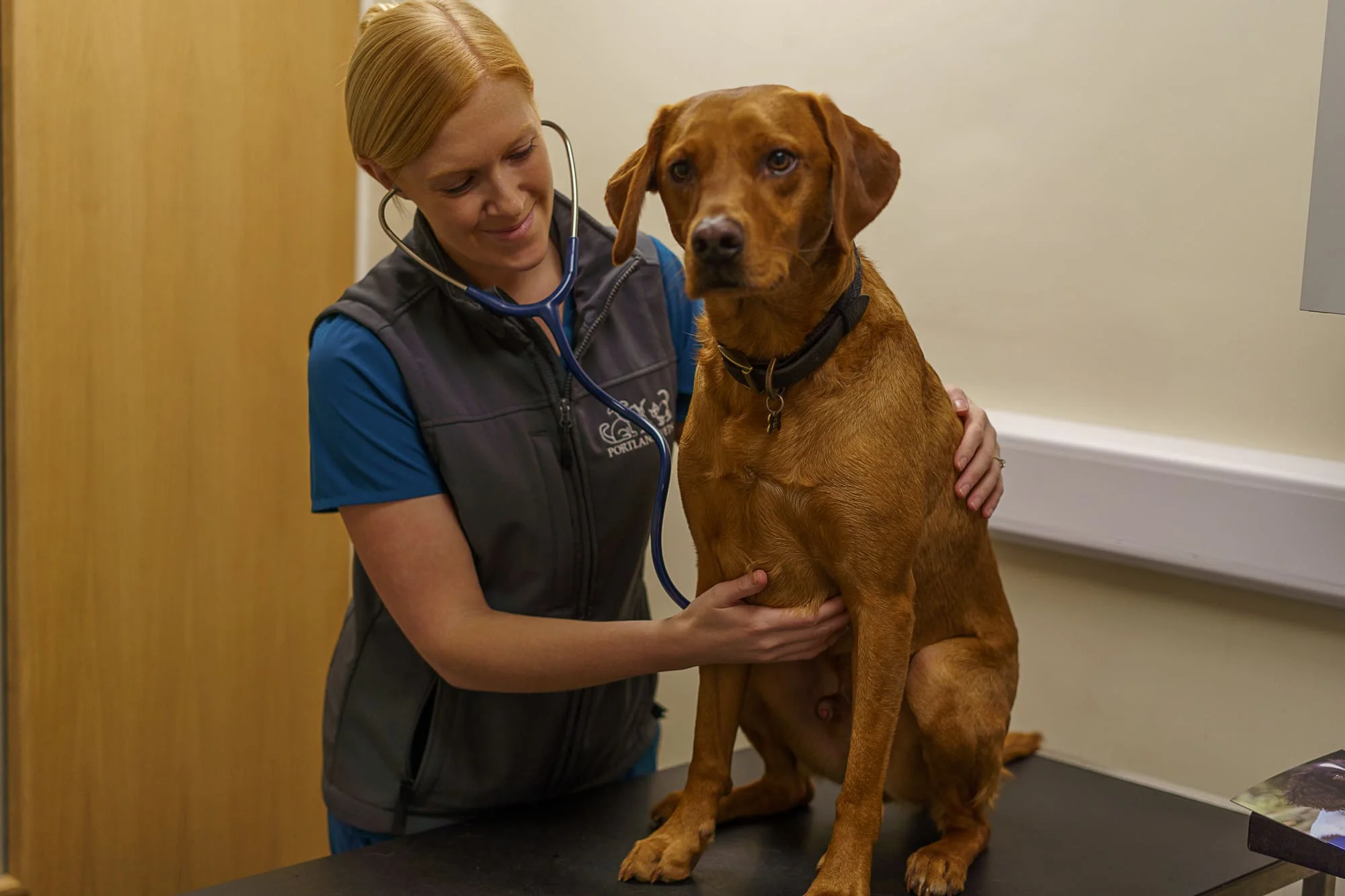 Dog with lady portland vets