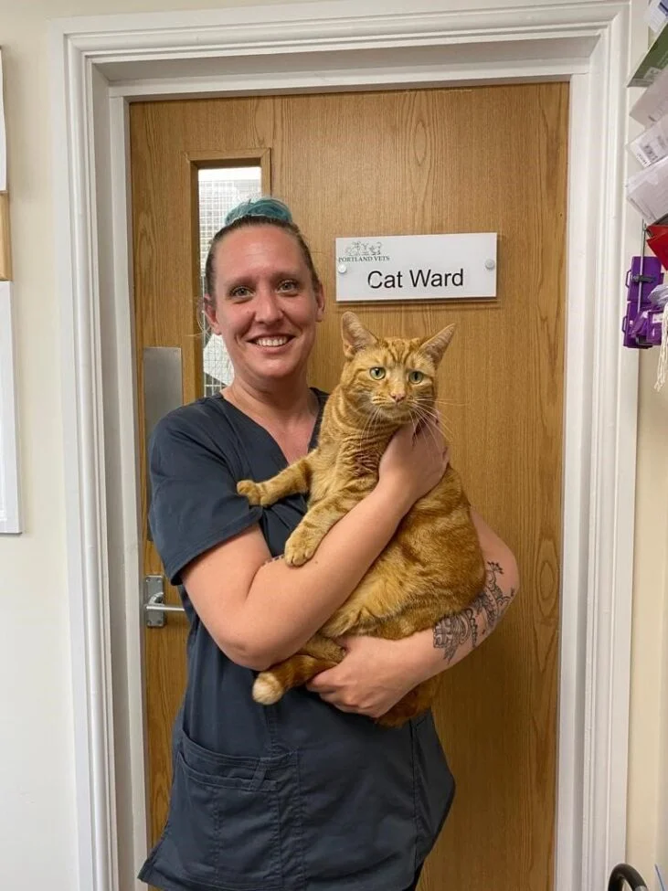 Cat with lady portland vets