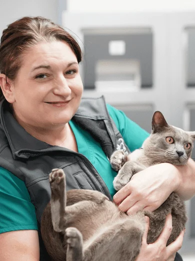 Cat with lady portland vets