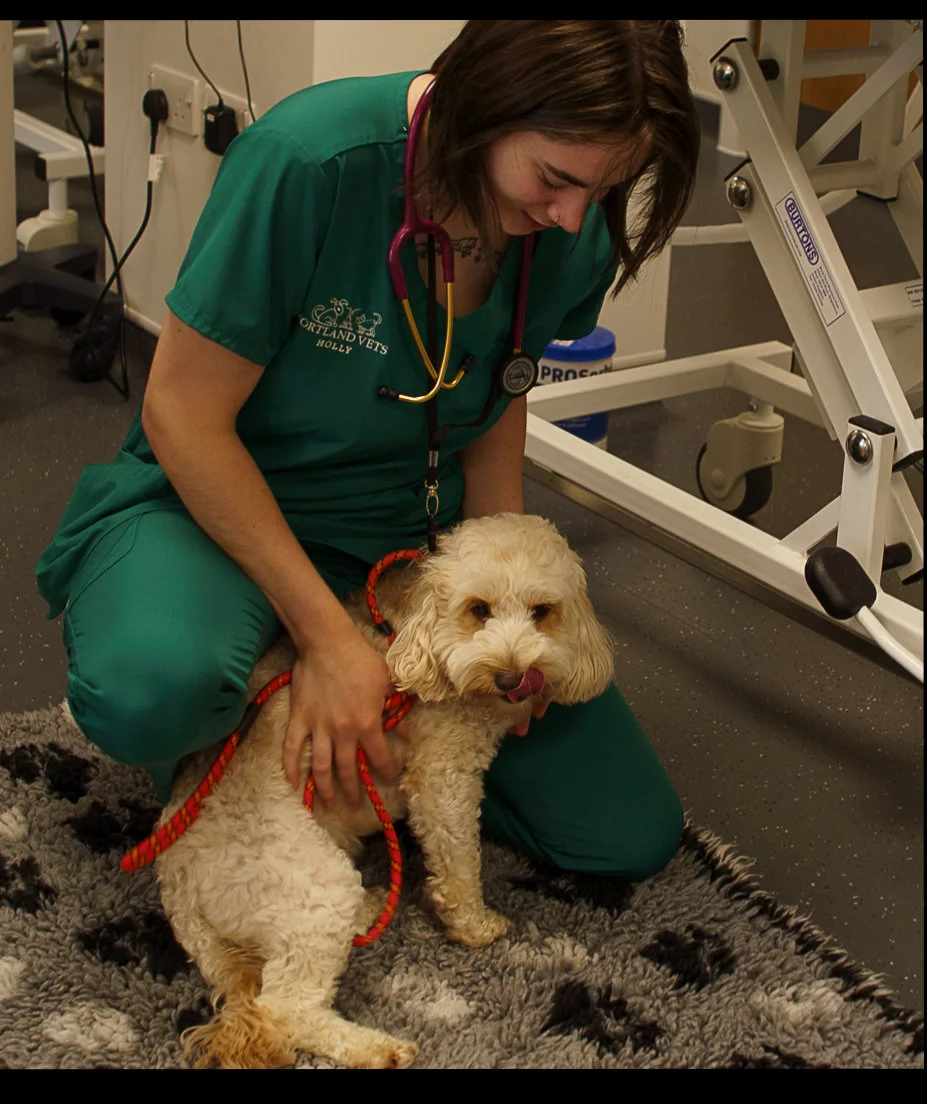 Dog with lady portland vets