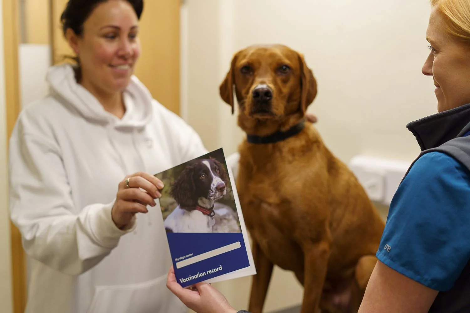 Consultation & Vaccinations