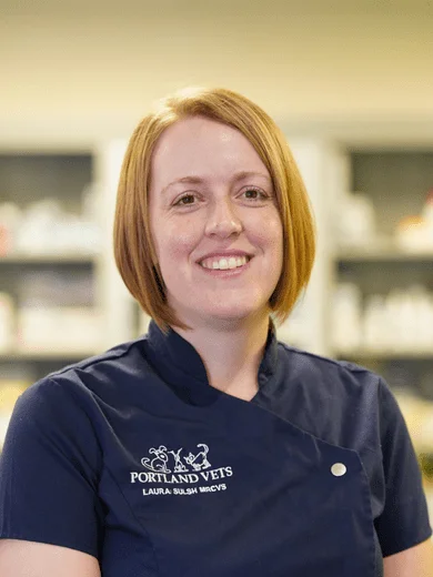 Portland vets Laura-Sulsh