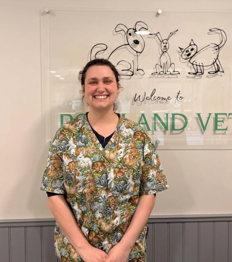 Portland vets Helen