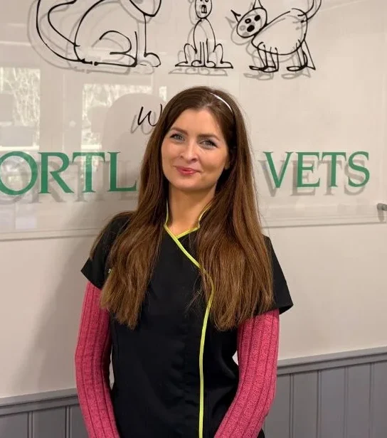 Portland vets Leanne