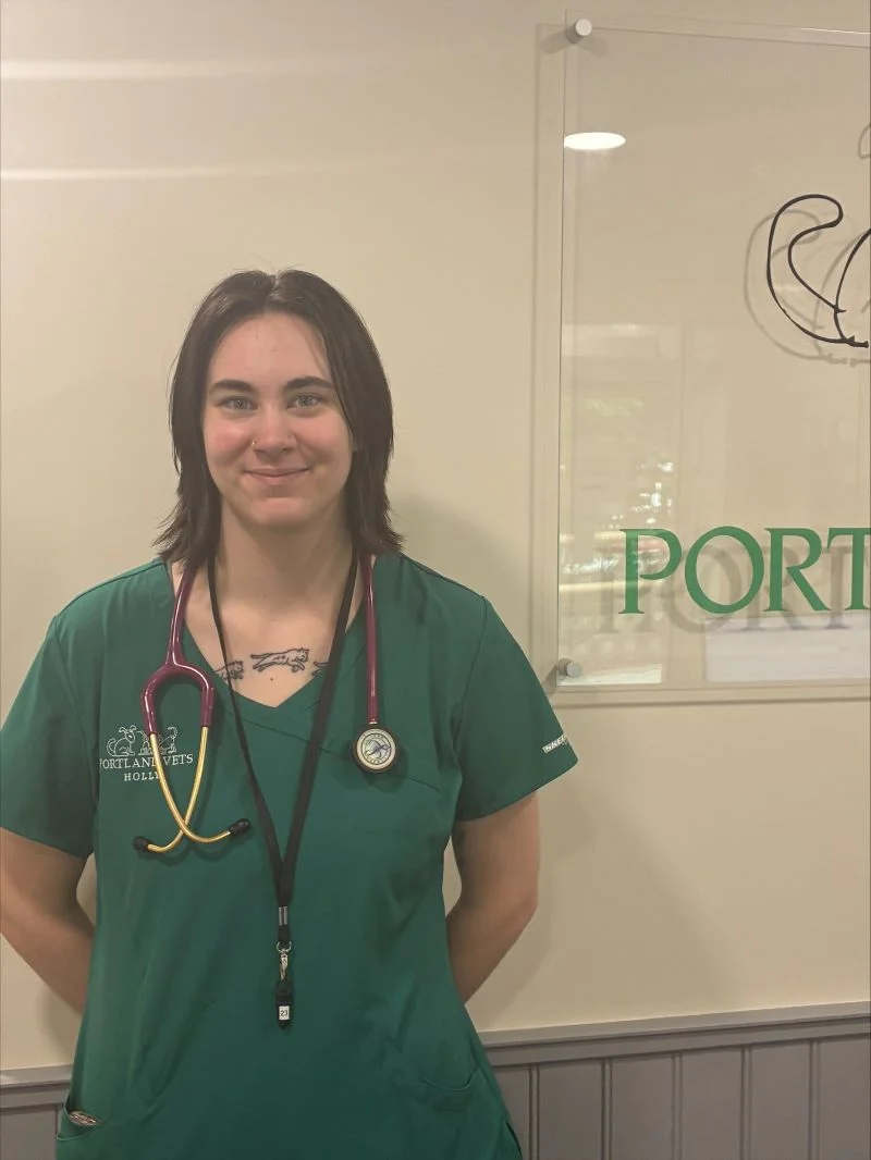 Portland vets Holly