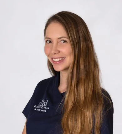 Team member portland vets