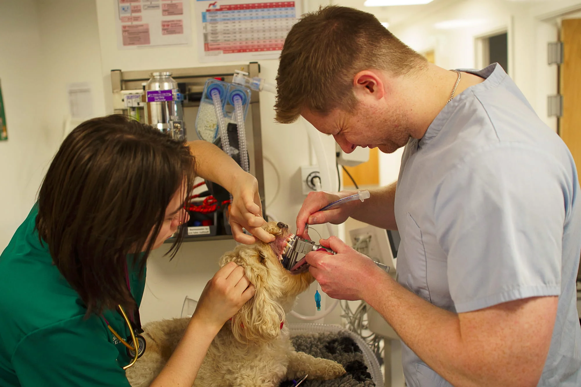 Laser Therapy