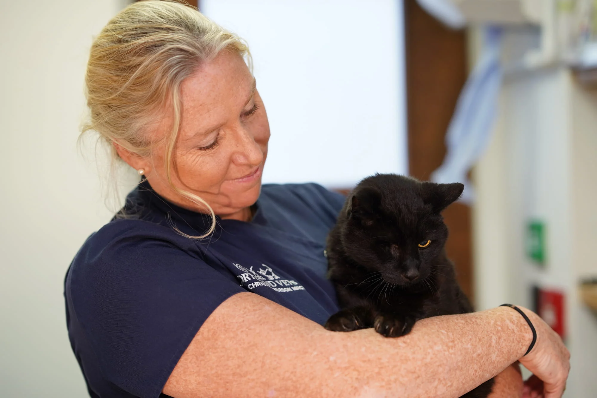 Cat checkup