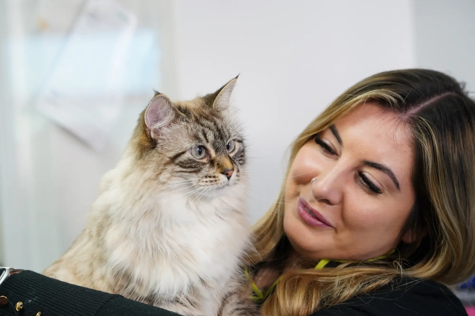 Cat with lady portland vets