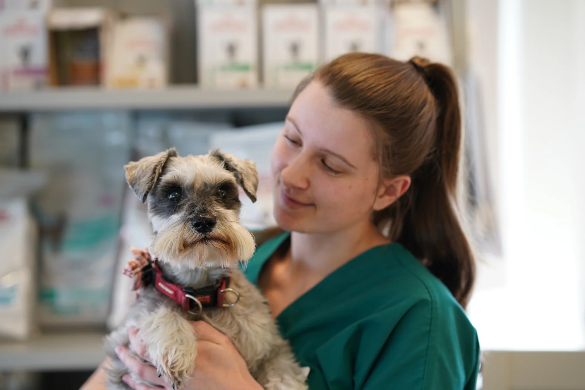 Dog with lady portland vets